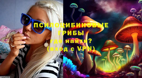 гидропоника Алексин