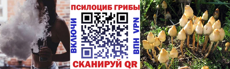 Галлюциногенные грибы мухоморы  Орехово-Зуево 